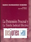 La Pretensin Procesal y la Tutela Judicial Efectiva. Hacia una Teora Procesal del Derecho 