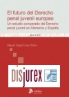 El futuro del derecho penal juvenil europeo. Un estudio comparado del Derecho penal juvenil en Alemania y Espaa