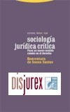 Sociologa jurdica crtica: para un nuevo sentido comn en el derecho