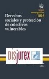 Derechos sociales y proteccin de colectivos vulnerables tcnicas de tutela 