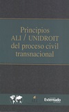 Principios ALI / UNIDROIT del proceso civil transnacional  